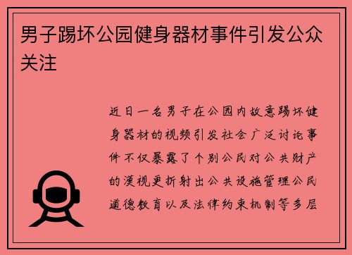 男子踢坏公园健身器材事件引发公众关注