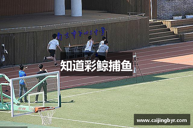 知道彩鲸捕鱼